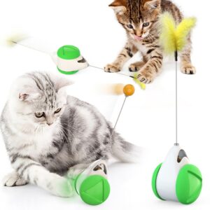 Toys For Cat Playing Indoors